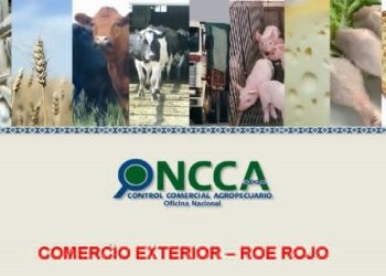 Una cámara de frigoríficos afirma que el nuevo DJEC es igual a los viejos ROE: Y advierte que así se destruirá la ganadería