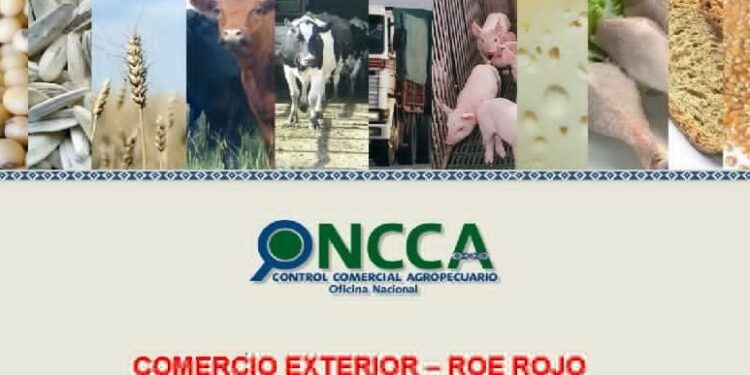 Una cámara de frigoríficos afirma que el nuevo DJEC es igual a los viejos ROE: Y advierte que así se destruirá la ganadería