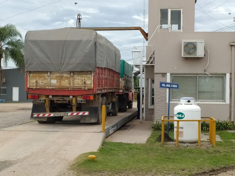 A partir del grano de arroz, en el molino Marcos Schmukler elaboran 17 productos: “Se podría hacer mucho más, pero hay limitaciones y trabas”, dicen los hijos del fundador