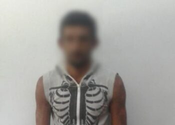 A falta de respuestas, Bichos de Campo presentó su primer pedido de acceso a la información pública: ¿Quiénes son los famosos 15 exportadores suspendidos?