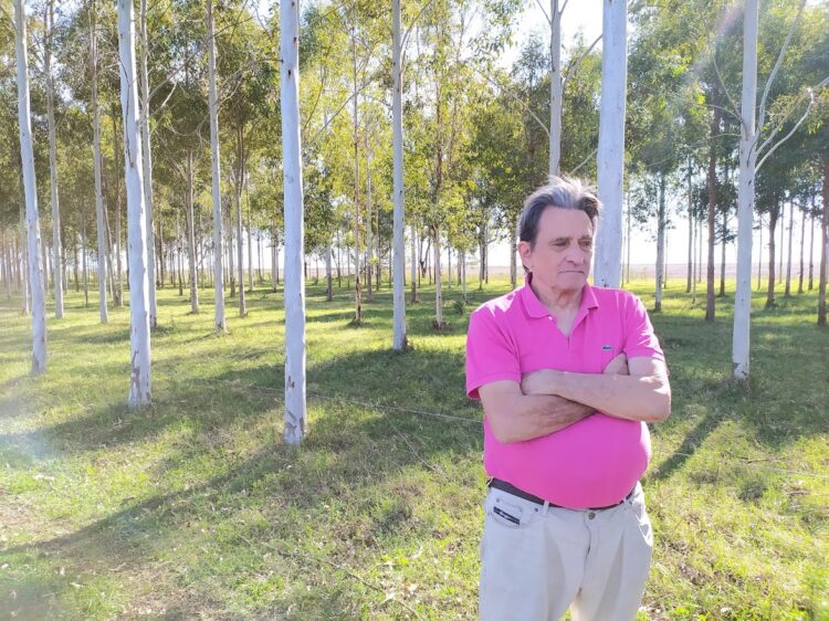 Luis Carpineti demostró que los Eucaliptos Grandis de la Mesopotamia también pueden crecer en Timote, el pueblo donde mataron a Aramburu