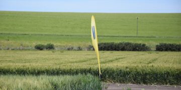 Mientras anticipa un trigo capaz de ofrecer hasta 120 quintales, Nidera presentó su paleta de opciones para la próxima siembra