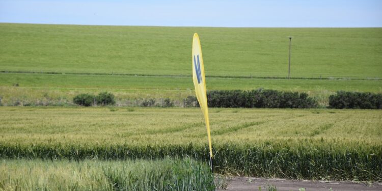 Mientras anticipa un trigo capaz de ofrecer hasta 120 quintales, Nidera presentó su paleta de opciones para la próxima siembra