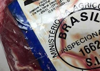 Paula amenaza y Brasil lo aprovecha: Sería el país más beneficiado con el crecimiento del comercio de carne vacuna