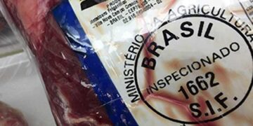 Paula amenaza y Brasil lo aprovecha: Sería el país más beneficiado con el crecimiento del comercio de carne vacuna