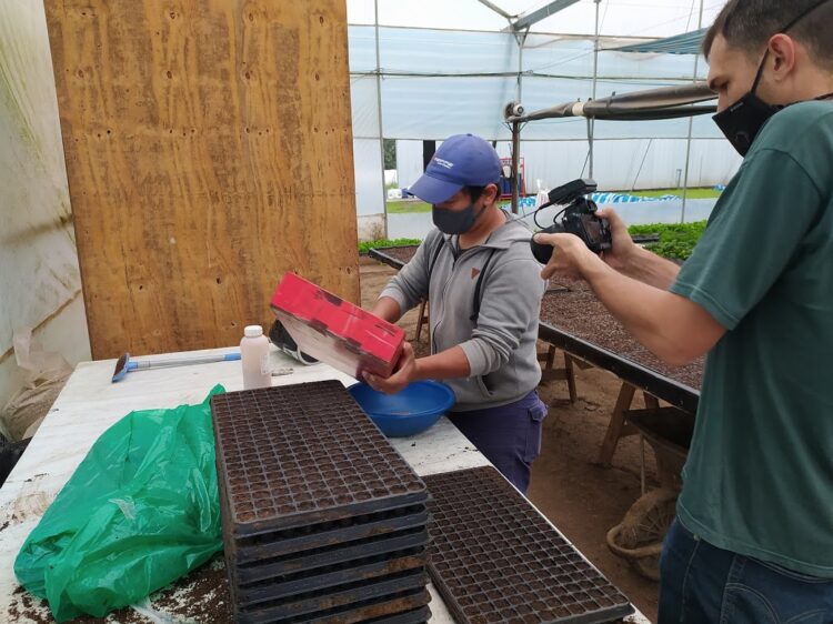 Una visita a Vequa, donde las lechugas y rúculas crecen flotando sobre una enorme pileta y se cosechan con palos y cuerdas