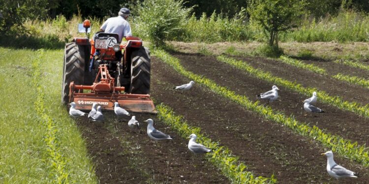 Envejecimiento y escasa rentabilidad: En Europa se podrían llegar a abandonar 5 millones de hectáreas agrícolas para 2030