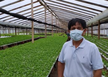 Wilmer Díaz produce con hidroponia 5 veces más que en un planteo convencional y ahorrando 90% de agua: “En Youtube parece fácil, pero esto es 100% trabajo”