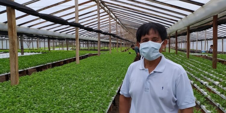 Wilmer Díaz produce con hidroponia 5 veces más que en un planteo convencional y ahorrando 90% de agua: “En Youtube parece fácil, pero esto es 100% trabajo”