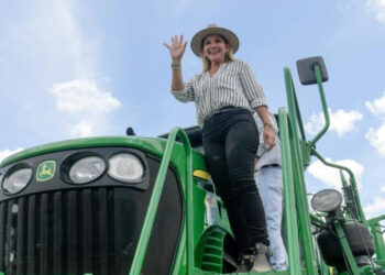 Bolivia dio marcha atrás con la aprobación de cultivos transgénicos: Quejas de los productores porque el maíz modificado ingresa desde Argentina