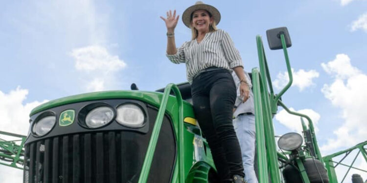 Bolivia dio marcha atrás con la aprobación de cultivos transgénicos: Quejas de los productores porque el maíz modificado ingresa desde Argentina