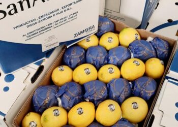 De Tafí Viejo a Hong Kong: Una empresa tucumana logró exportar sus primeros limones a China