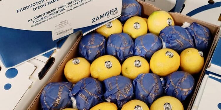 De Tafí Viejo a Hong Kong: Una empresa tucumana logró exportar sus primeros limones a China