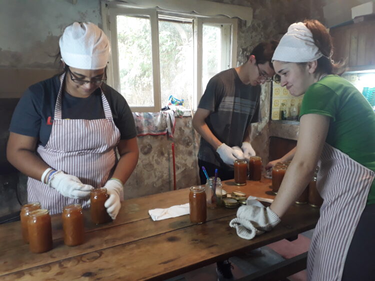 Laura y Matías cumplieron su sueño de irse a vivir a Almeyra: Elaboran mermeladas cargadas de mimos 