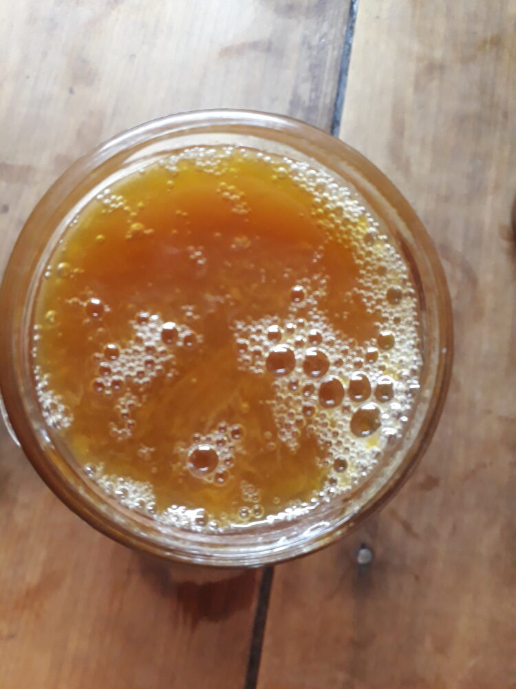 Laura y Matías cumplieron su sueño de irse a vivir a Almeyra: Elaboran mermeladas cargadas de mimos 