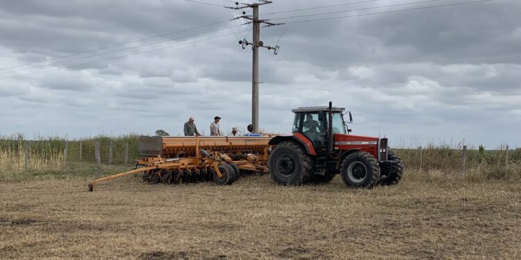 ¿Por qué Agrometal perdió casi 85 millones de pesos con récord de ventas de sembradoras?