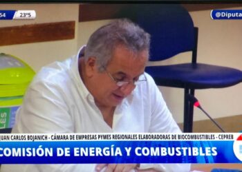 Carbio alertó que el proyecto oficialista de biocombustibles “beneficia a ciertas empresas que se muestran como Pymes y no lo son”: ¿De quién hablan?