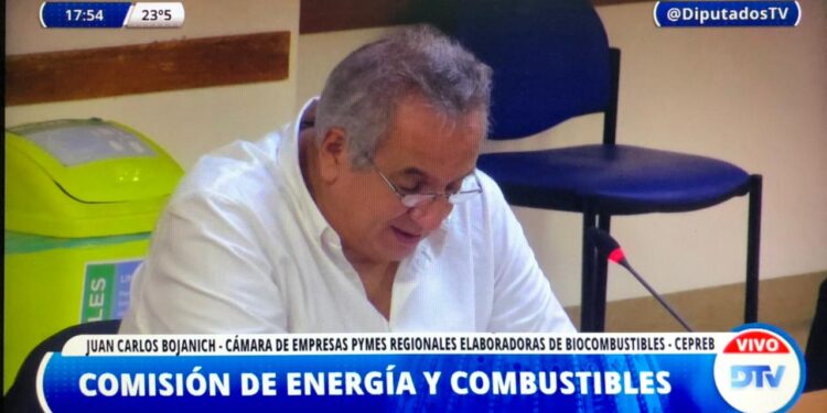 Carbio alertó que el proyecto oficialista de biocombustibles “beneficia a ciertas empresas que se muestran como Pymes y no lo son”: ¿De quién hablan?