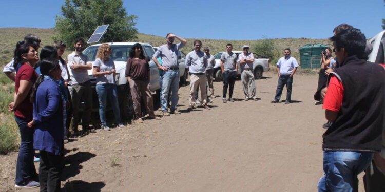 Restringieron la posibilidad de que las empresas agropecuarias puedan acceder a créditos fiscales para capacitación de personal