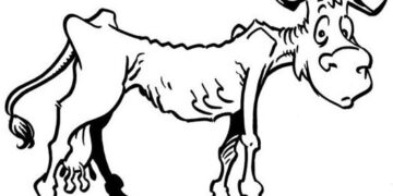 Manual básico para entender qué es una vaca conserva y por qué nosotros no la consumimos