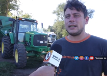 Tolva y cosechadora, juntas a la par: “Esto es un trabajo de compañerismo”, asegura Maximiliano Ponce, tolvero