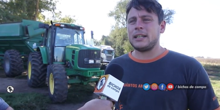 Tolva y cosechadora, juntas a la par: “Esto es un trabajo de compañerismo”, asegura Maximiliano Ponce, tolvero