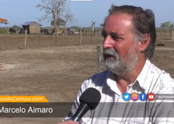 Crudo diagnóstico el del productor Marcelo Aimaro: “Acá no hubo ni hay una política lechera real que de previsibilidad y horizonte para que podamos invertir”