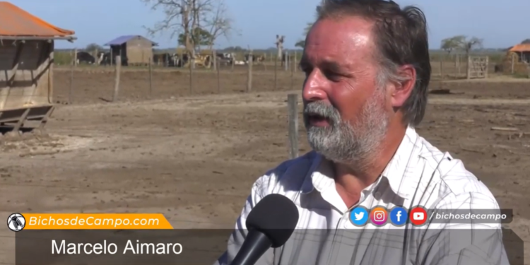 Crudo diagnóstico el del productor Marcelo Aimaro: “Acá no hubo ni hay una política lechera real que de previsibilidad y horizonte para que podamos invertir”