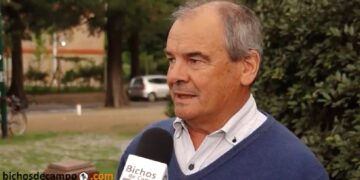 Mario Cattaneo, especialista en cebada, explicó las razones que empujan una suba de casi 30% en la superficie dedicada a ese cultivo