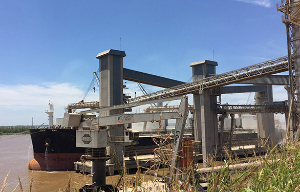 Exportadores argentinos apuran compras de maíz en plena cosecha para aprovechar una oportunidad única con fecha de vencimiento