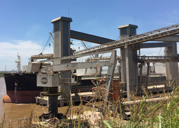 Exportadores argentinos apuran compras de maíz en plena cosecha para aprovechar una oportunidad única con fecha de vencimiento