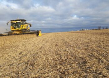 Dos compañías acapararon el mercado argentino de cosechadoras en lo que va del año 2021