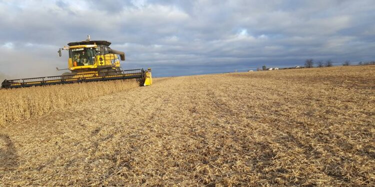 Dos compañías acapararon el mercado argentino de cosechadoras en lo que va del año 2021