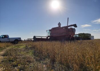 No sólo de derechos de exportación vive el Estado: La “retención cambiaria” va camino a alcanzar el 40%