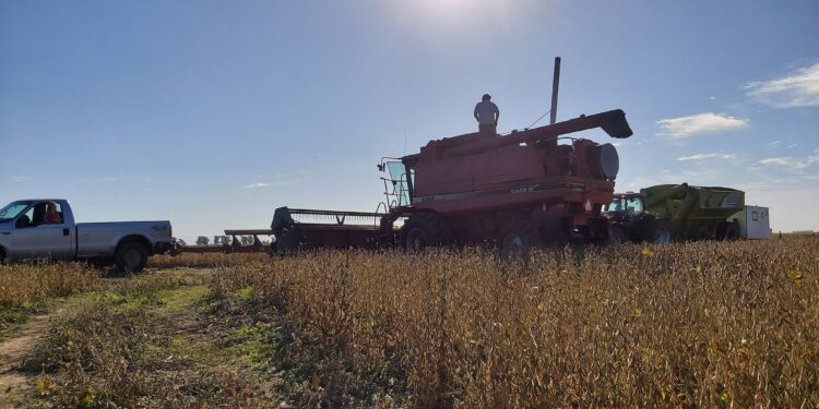 No sólo de derechos de exportación vive el Estado: La “retención cambiaria” va camino a alcanzar el 40%