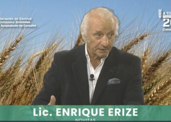 Enrique Erize: “Los productores podrían vender trigo a 250 u$s/tonelada si el registro de exportaciones no estuviese cerrado”