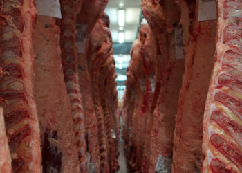 Otra vez: El gobierno argentino estableció el procedimiento para comenzar a restringir de manera discrecional las exportaciones de carnes