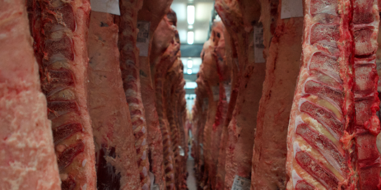 Otra vez: El gobierno argentino estableció el procedimiento para comenzar a restringir de manera discrecional las exportaciones de carnes