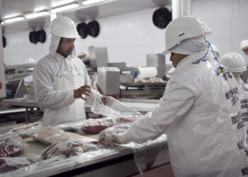 Se derrumbó la faena en Córdoba: Frigoríficos aseguran que crece la operatoria informal de carniceros con “abigeato o cuatrereo incluido”