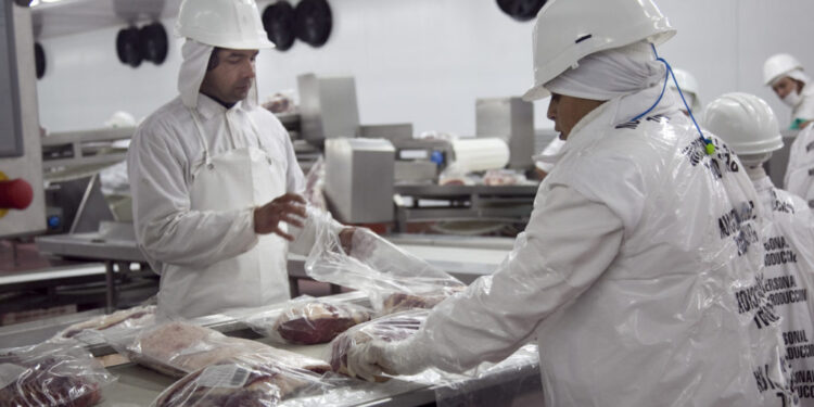 Se derrumbó la faena en Córdoba: Frigoríficos aseguran que crece la operatoria informal de carniceros con “abigeato o cuatrereo incluido”