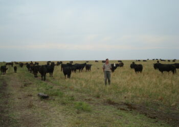 ¿Podrán los empresarios agropecuarios argentinos algún día vender bonos de carbono?