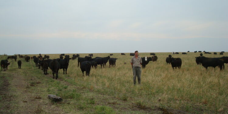 ¿Podrán los empresarios agropecuarios argentinos algún día vender bonos de carbono?