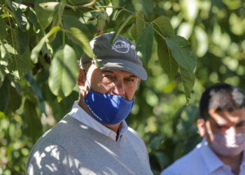 Juan Giugno no tiene dudas: “Hay que salir de producciones menos rentables como la vitivinicultura y animarse a explorar la nogalicultura”