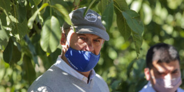 Juan Giugno no tiene dudas: “Hay que salir de producciones menos rentables como la vitivinicultura y animarse a explorar la nogalicultura”
