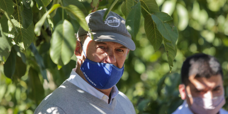 Juan Giugno no tiene dudas: “Hay que salir de producciones menos rentables como la vitivinicultura y animarse a explorar la nogalicultura”