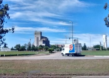 El caso puntano: Un ejemplo de cómo el maíz puede generar un polo de desarrollo regional