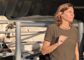 Al frente del tambo familiar, Guillermina Mas explica los tres mecanismos que aplica el Gobierno para deprimir los precios de la leche al productor