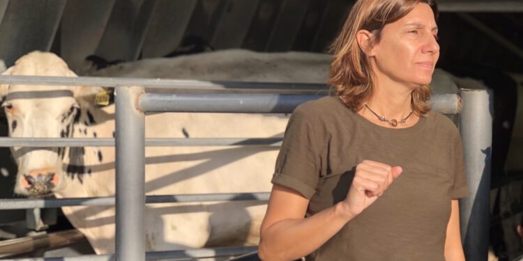 Al frente del tambo familiar, Guillermina Mas explica los tres mecanismos que aplica el Gobierno para deprimir los precios de la leche al productor