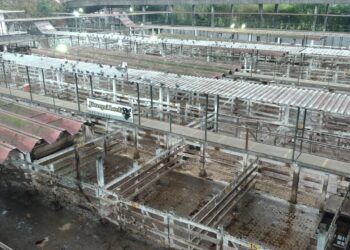 Sigue el conflicto con el campo ante la dificultad del gobierno para comprender que en el mercado de carne bovina no funciona el “comando automático”