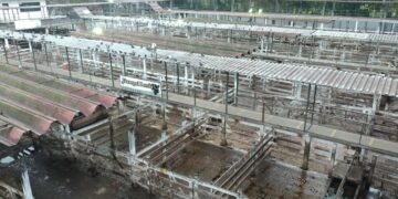 Sigue el conflicto con el campo ante la dificultad del gobierno para comprender que en el mercado de carne bovina no funciona el “comando automático”